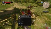 Kill the Slyzard adn once the Abandoned Site is repopulated, grab the “Letter Bearing Castel Ravello’s Seal”.