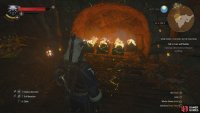 then incinerate the Archespore Bulbs for some bonus XP.