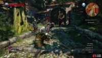 or turn on the Bandits in defense of the wounded Witch Hunter.