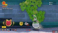 which contains the fifth Cat Shine Shard