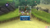 Go to the Apple Tree to learn about Discoveries.