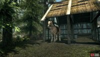 and a horse too!